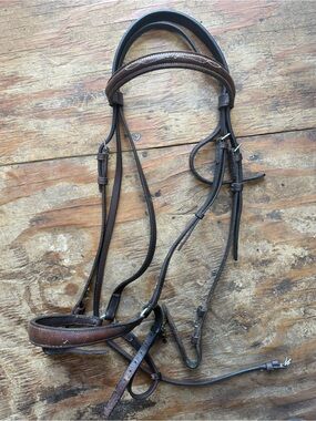 Full sized schooling bridle